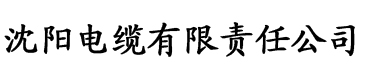 大香蕉第一在线电缆厂logo